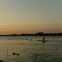 alisoncaprisun6