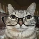 fnd_lolloo