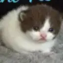 qwin1ty