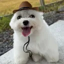 sniprrfire