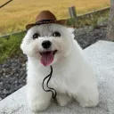 sniprrfire