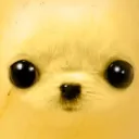 litrmangoz