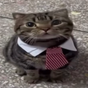 avatar flotter otter