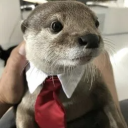 avatar flotter otter