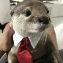 avatar flotter otter