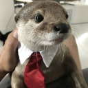 avatar flotter otter