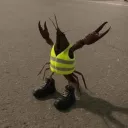 dskfarofa