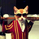 facecat1276