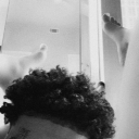 avatar ⊹ ࣪  ౨ৎ˚₊