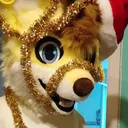 sivacfur