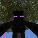 endergamer_013