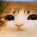 avatar Squad / ネオンチク