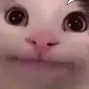 gume_1004gg