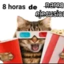 licenciadomocusgaymer avatar