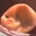 vazquezcrack67 avatar