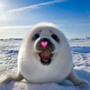 avatar *•̩̩͙✩•̩̩͙*αℓιєи*•̩̩͙✩•̩̩͙*˚