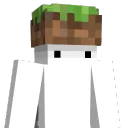 professional_pixel