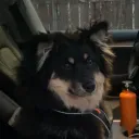 jerbex