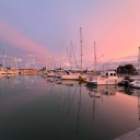 avatar TuCaniDeConfianza