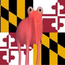 kows201