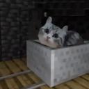 b0bcatyt