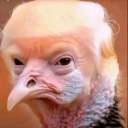 avatar 🎀 𝕷𝖚𝖓𝖆🎀