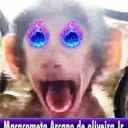 eyloucoxd