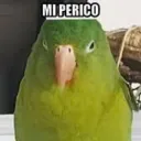 novaa.op