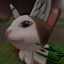 zexchekytidk
