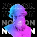 norton8