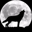 furriffic
