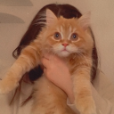 Discord Avatar
