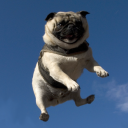 avatar 𝐃𝐚𝐤𝐱𝐲𝐳