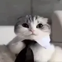 samuraa1