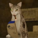Discord Avatar