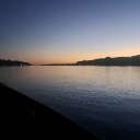 avatar ✨🍄mushroomskulls🍄✨