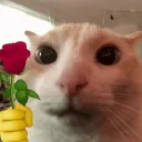 matti_sntn