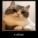 Аватар dark_sun439