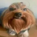 felipe_bra