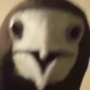 l7weaver