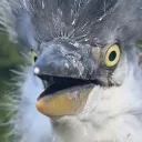 l7weaver