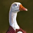 mrwixi