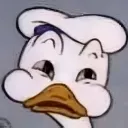 seegras