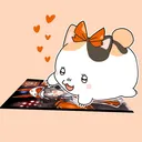 ran_pc