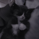 avatar ✞anowerr✞