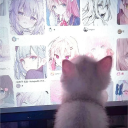 avatar ✞anowerr✞