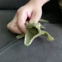 leonardo4060