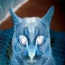 stopcallingthisnumber avatar
