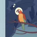 xiesunflower avatar