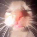 rorumeu